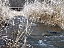 2007-04-22 047.JPG